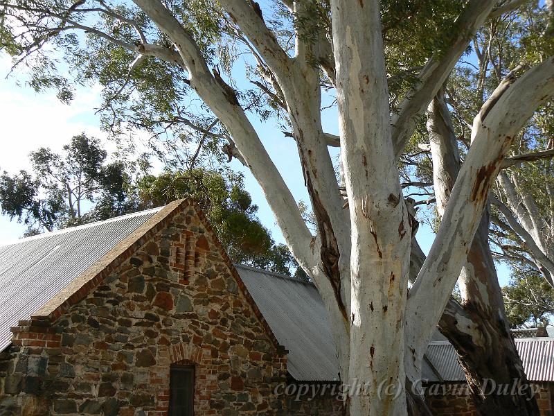 Rockford Wines, Barossa Valley P1080610.JPG - Rockford Winery